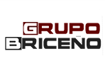 Grupo Briceño